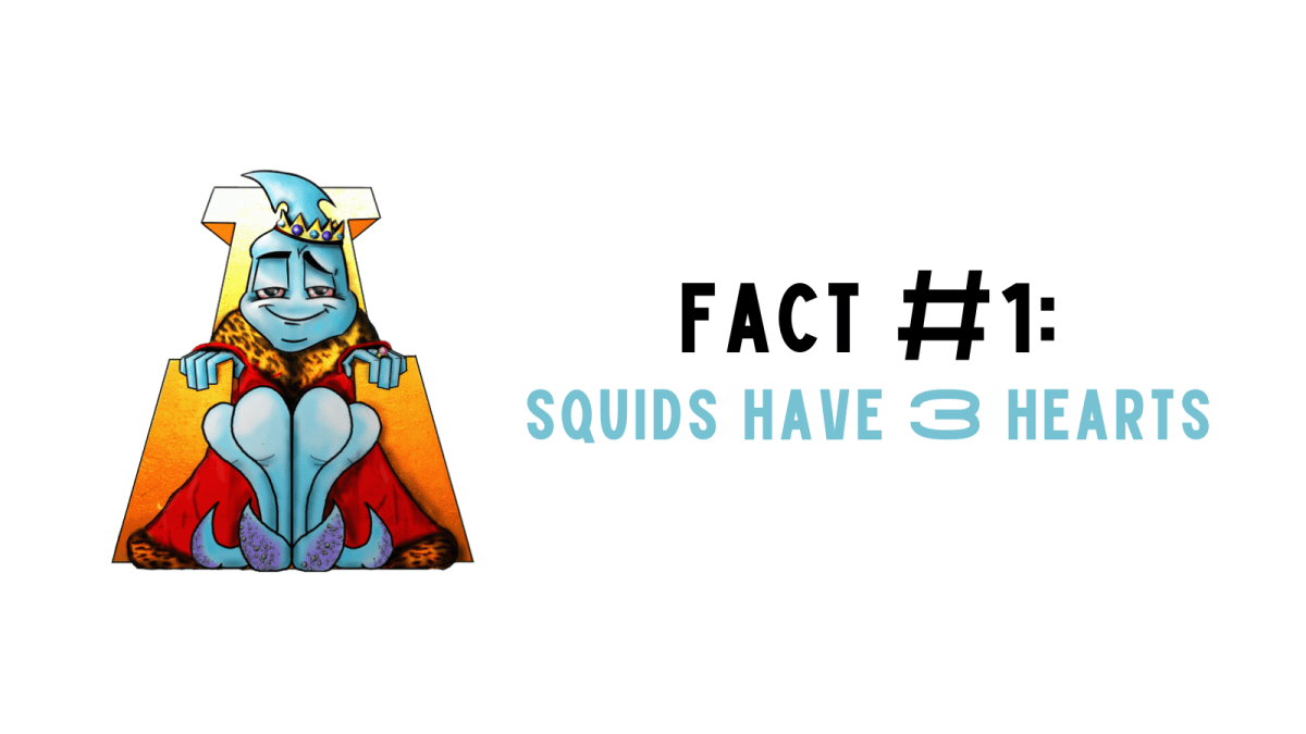 Fact #1: Squids Have 3&nbsp;Hearts