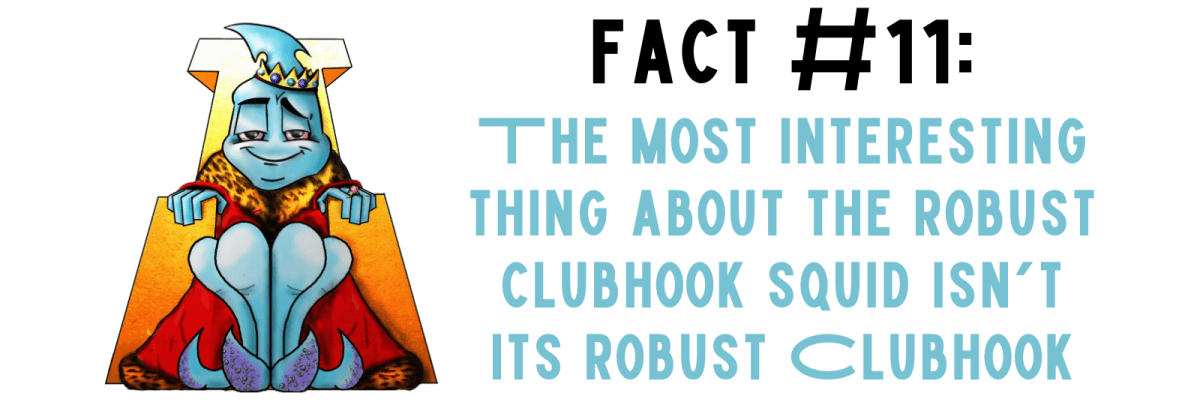 Fact #11: The Most Interesting Thing About the Robust Clubhook Squid Isn’t Its Robust&nbsp;Clubhook
