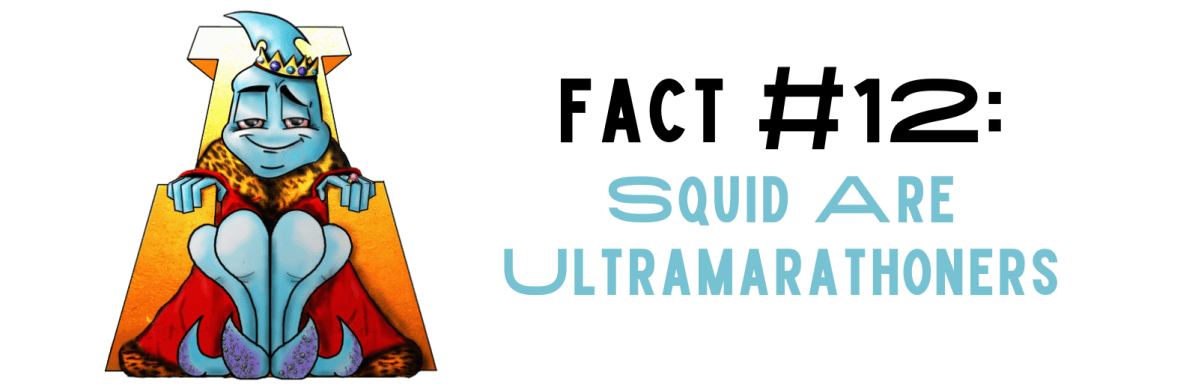 Fact #12: Squid Are Ultramarathoners
