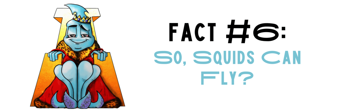 Fact #6: So, Squids Can&nbsp;Fly?