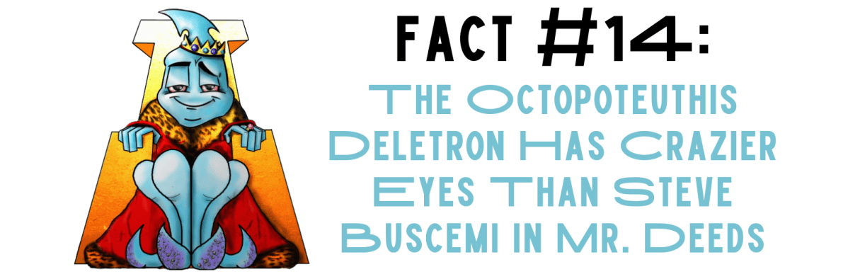 Fact #14: The Octopoteuthis Deletron Has Crazier Eyes Than Steve Buscemi In Mr.&nbsp;Deeds